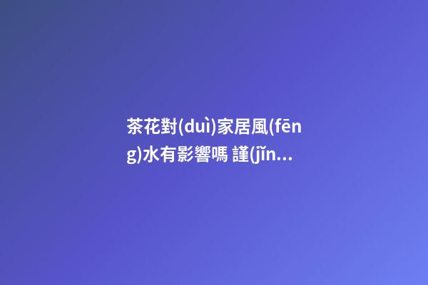 茶花對(duì)家居風(fēng)水有影響嗎 謹(jǐn)慎平穩(wěn)無雜枝
